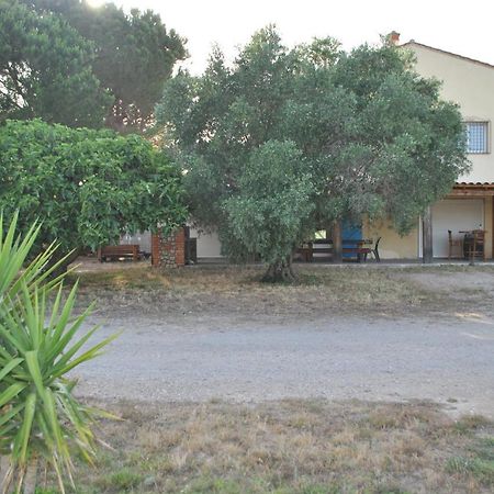 Mas De La Vignassa Villa Le Soler Ngoại thất bức ảnh