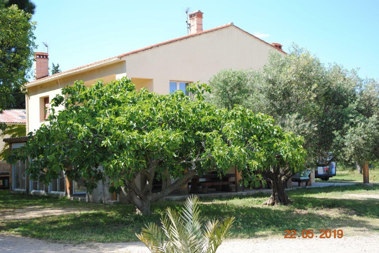 Mas De La Vignassa Villa Le Soler Ngoại thất bức ảnh